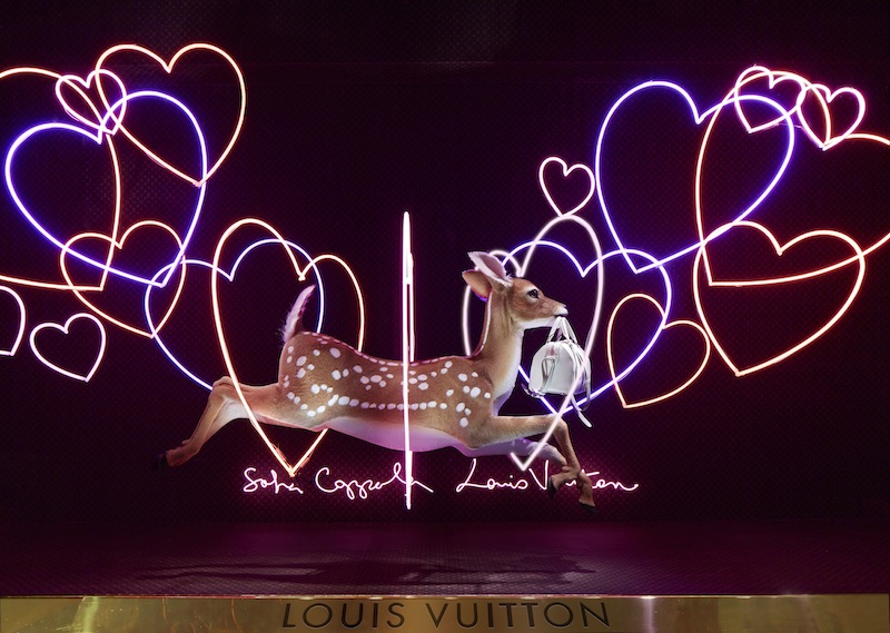 витрина Louis Vuitton