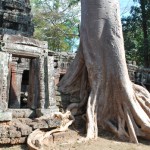 По следам «Лары Крофт»: Та Прохм — храм Ангкора, поглощенный джунглями