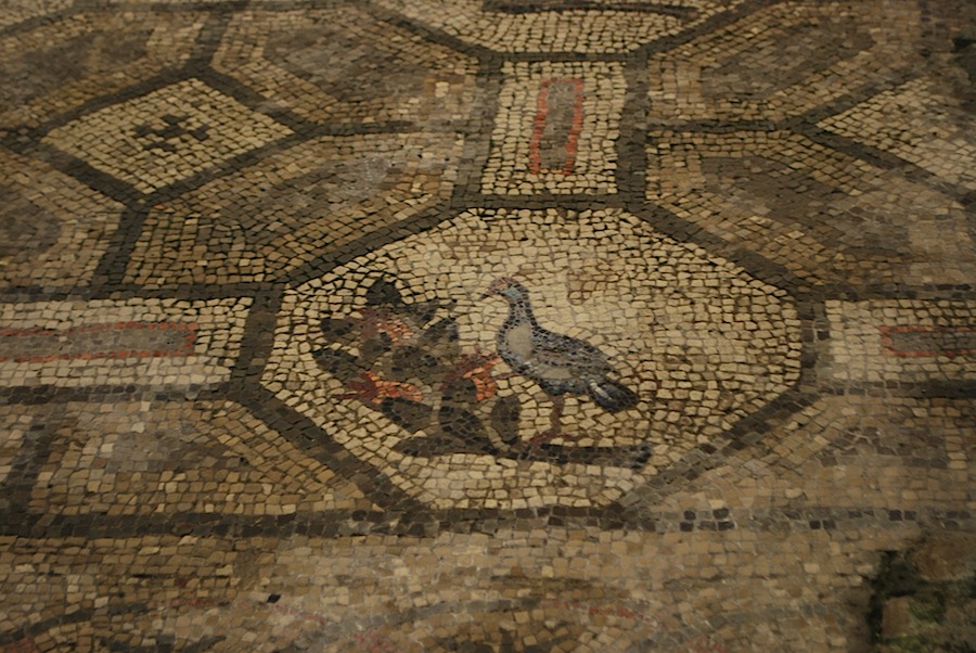 изображение птицы в левом крыле базилики Аквилеи