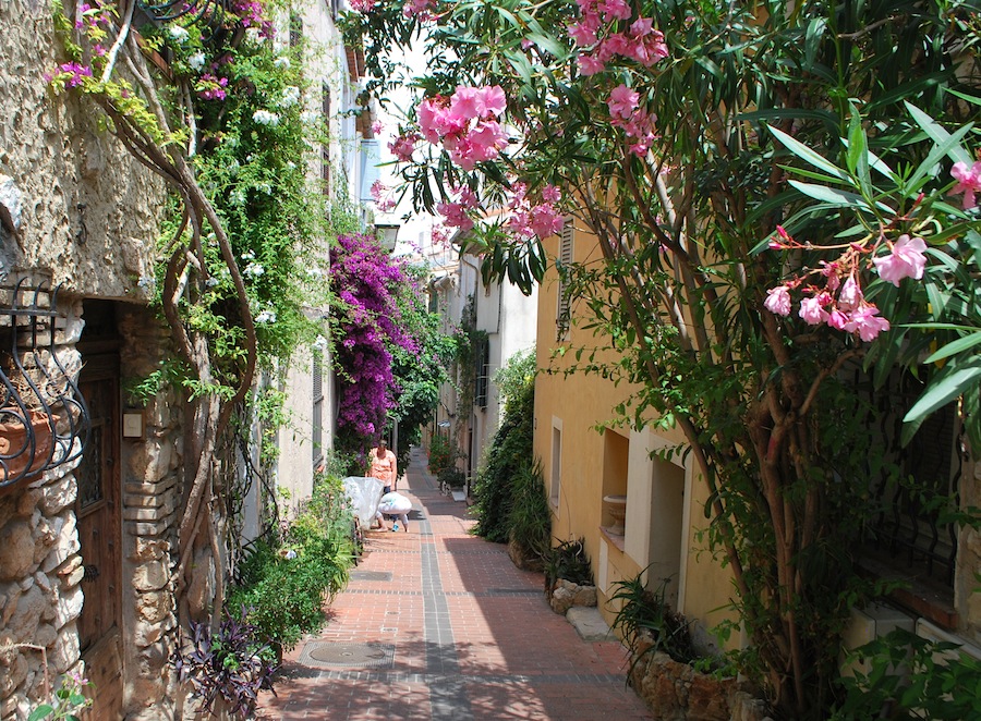 цветущая улица, Антиб (Antibes)