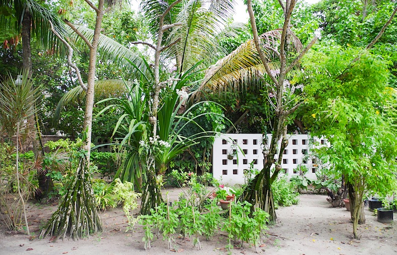  Сад трав, LUX* Maldives, Мальдивы