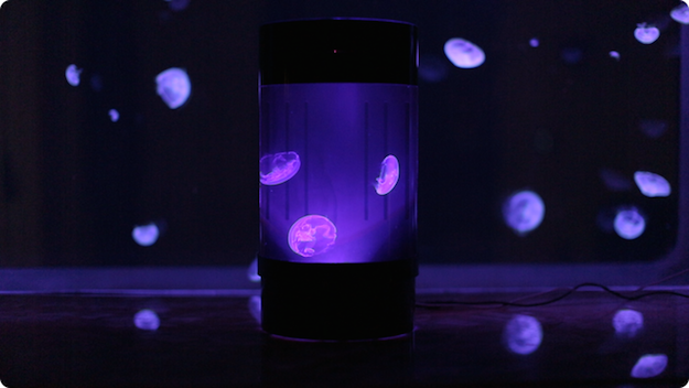 лампы с медузами
