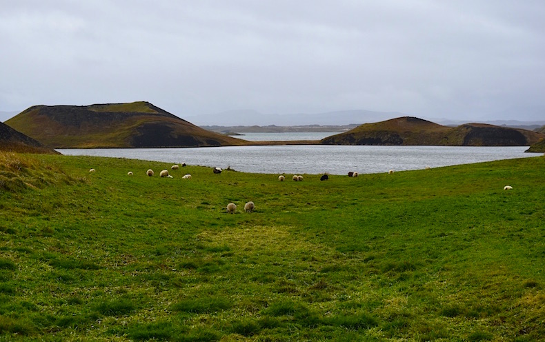 Скутустадир (Skútustaðir) озеро Миватн Исландия