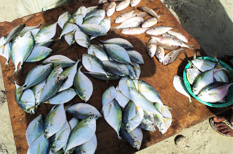 рыба на рынке Гамбии