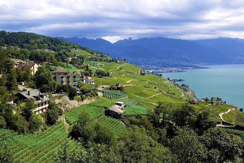 виноградники Лаво, Швейцария
