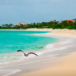 One&Only Ocean Club: официальный райский остров на Багамах