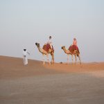 Ради чего стоит ехать в пустыню из Абу-Даби: джип-сафари, верблюды и созерцание